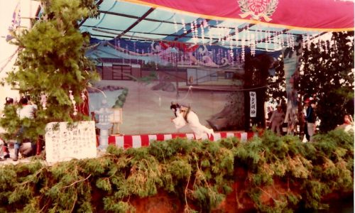 昭和57年船踊り「踊る怪猫は佐賀の夜桜」の宙吊り写真